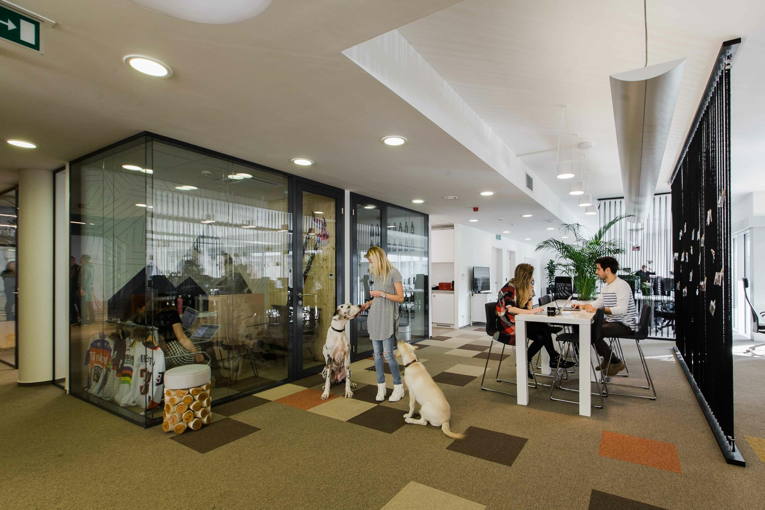 Pet-friendly office culture