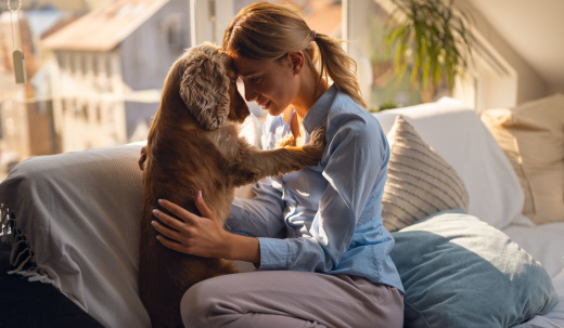 Dog enjoying time with owner