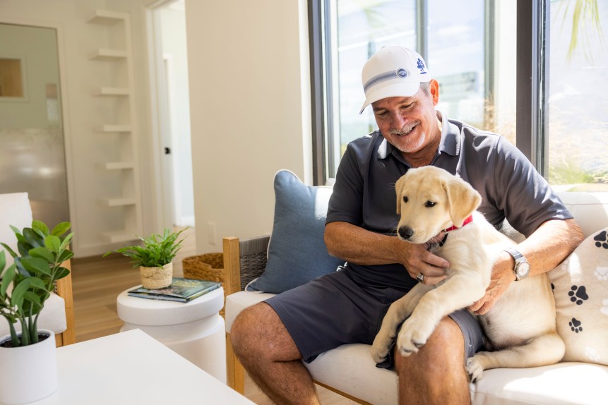 Dogs playing happily outdoors