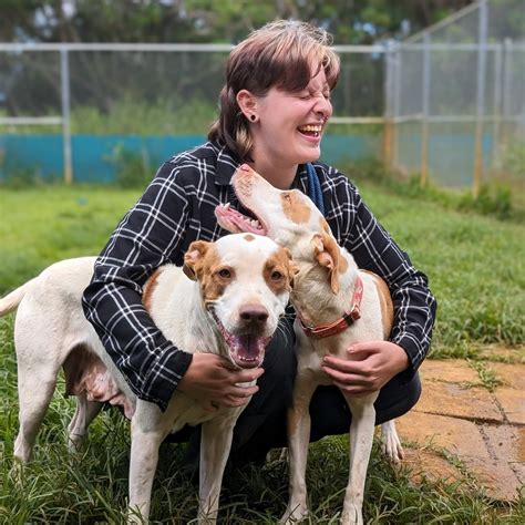 Pet and owner bonding indoors