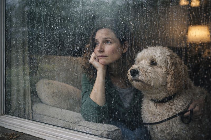Dog standing in rain on pavement